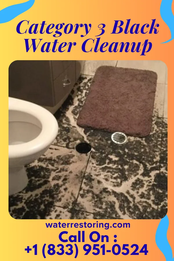 Category 3 Black Water Cleanup in Millersburg, IL